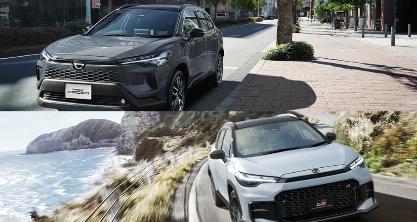 アッシュのメリット:上品な個性と落ち着きの両立