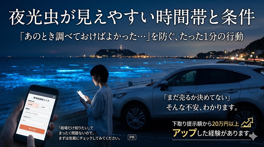 夜光虫が見えやすい時間帯と条件