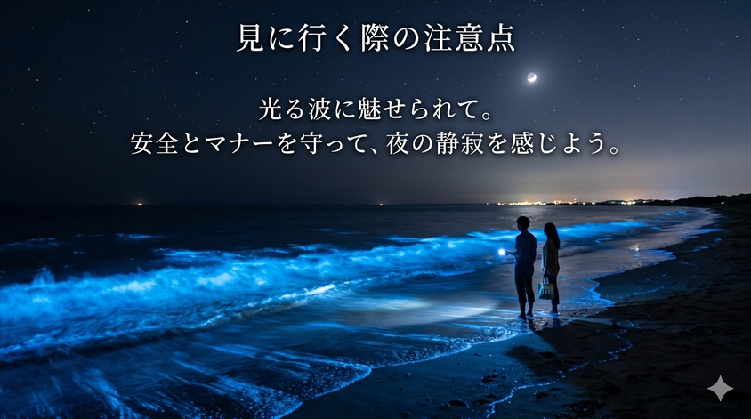 見に行く際の注意点