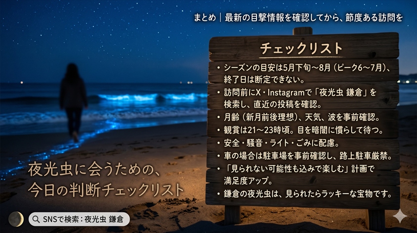 まとめ|最新の目撃情報を確認してから、節度ある訪問を